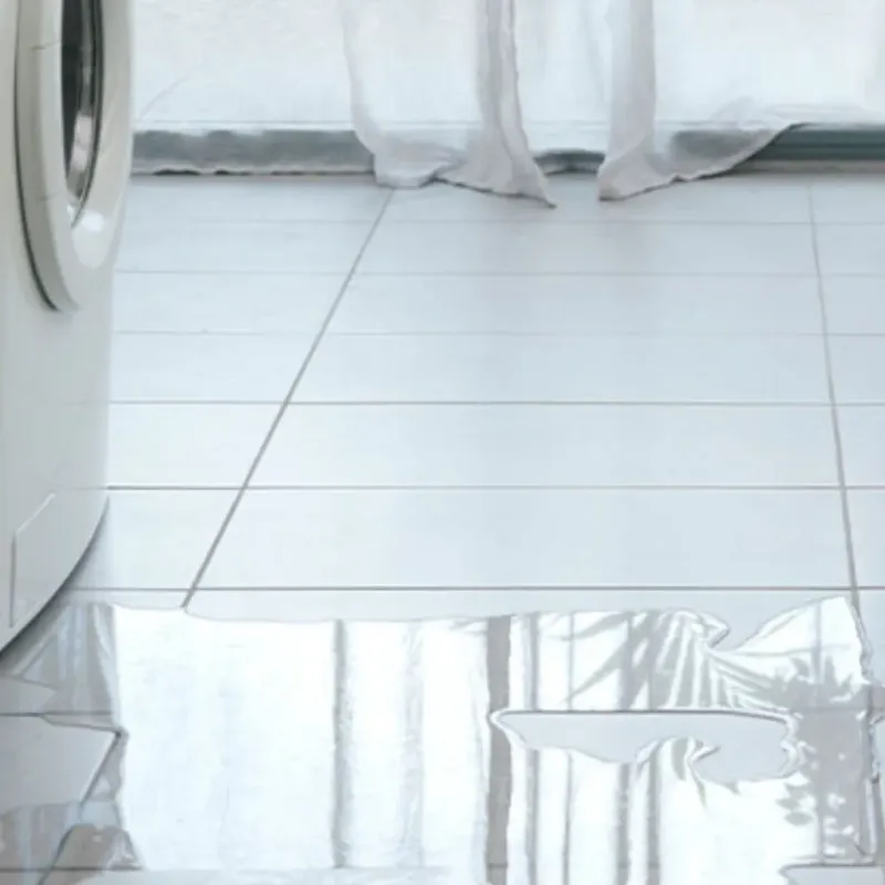 Appliance Leak Cleanup in Shingle Springs, CA